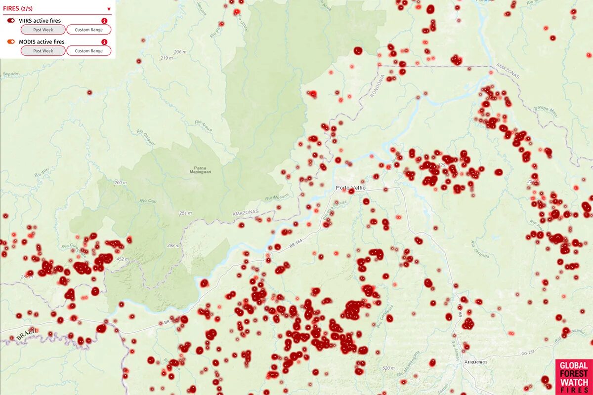 Global forests. Global forest watch. global forest watch карты.
