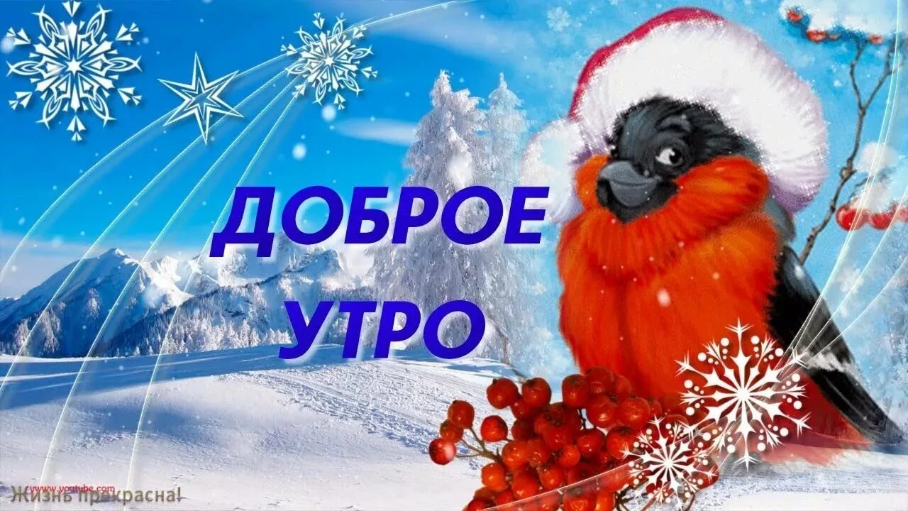 Открытка с добрым зимним утром. Доброе утро зима. пожелания с добрым утром зимние. открытки с добрым утром зимние. доброго зимнего дня.