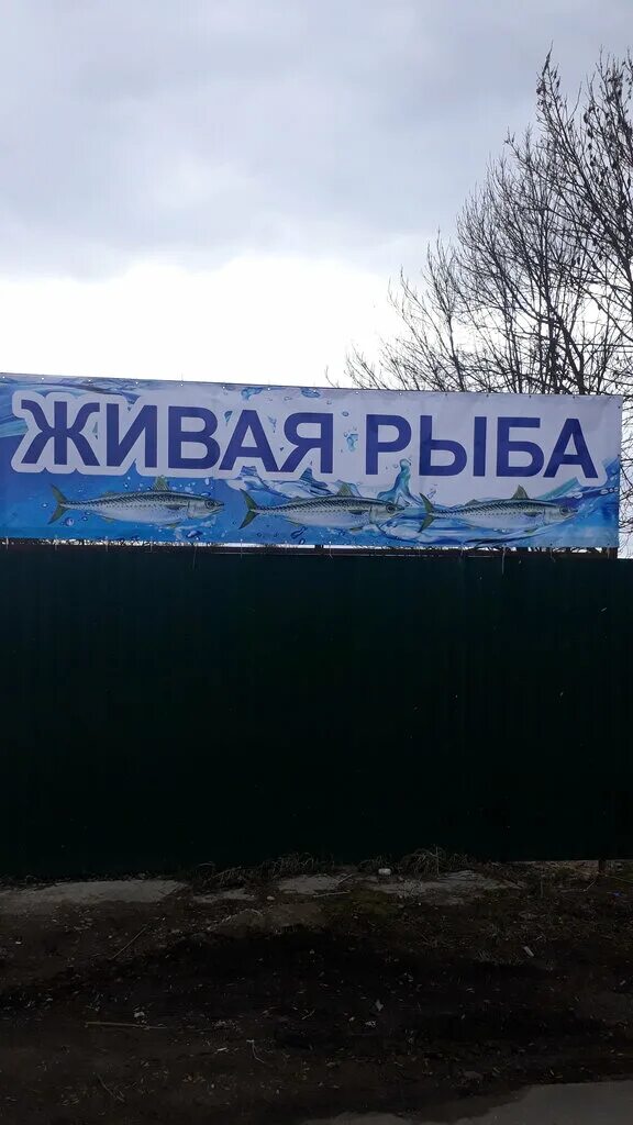 Рыбный магазин вывеска. Поиск рыбы. Живая рыба рядом со мной. Магазин рыбы и морепродуктов. Рыбное хозяйство руслов красноярск.