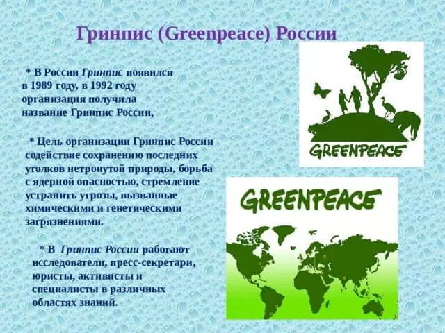 Международная экологическая организация в России Гринпис. Экологические организации России Гринпис. Принципы Гринпис. Международные экологические организации Гринпис в России кратко. 3 greenpeace