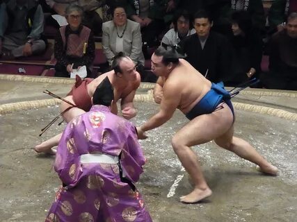 Takanoyama Shuntaro 2011a.jpg. 