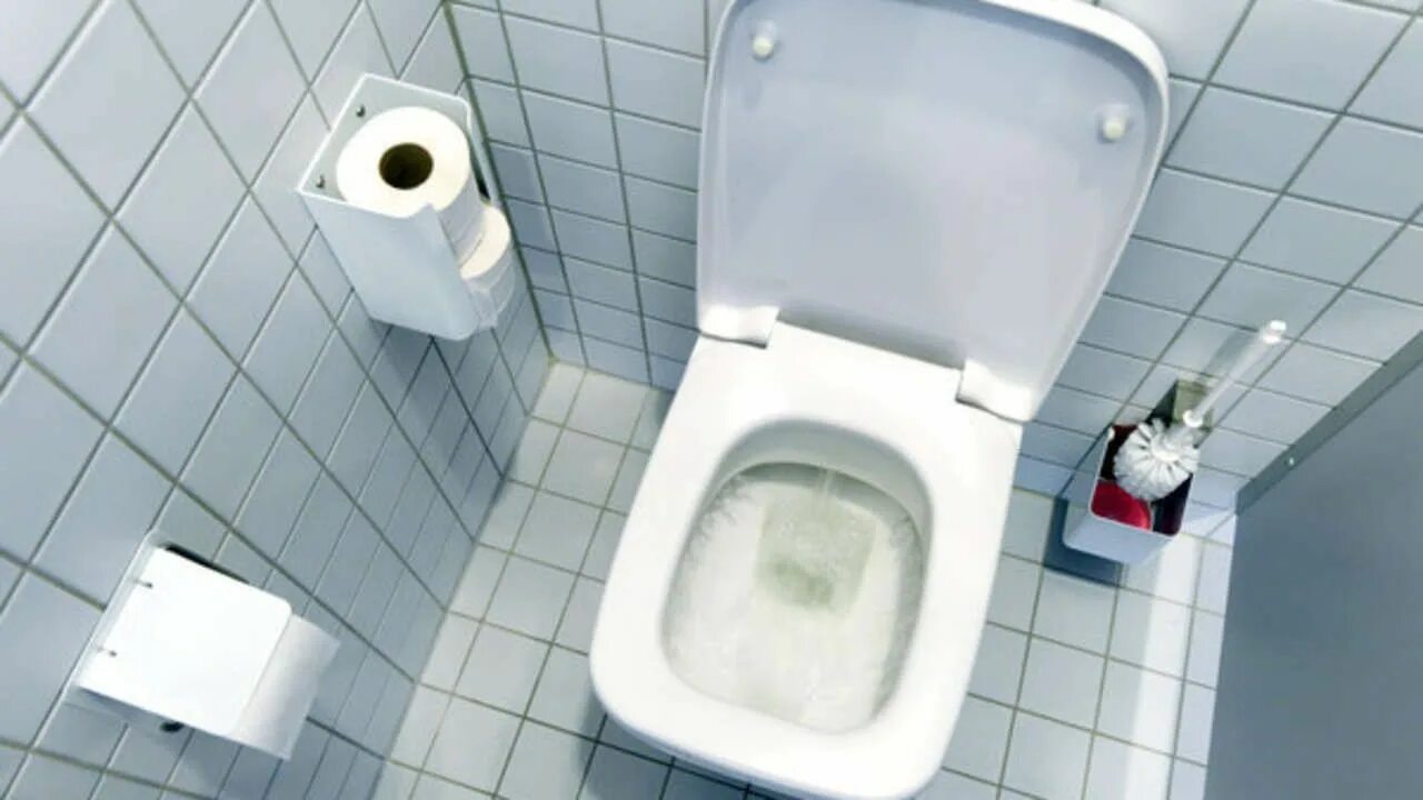 Как сделать музыку в туалете. Туалет сухой biolan komplet 140л. Toilette. Сельский туалет. Чистый унитаз.
