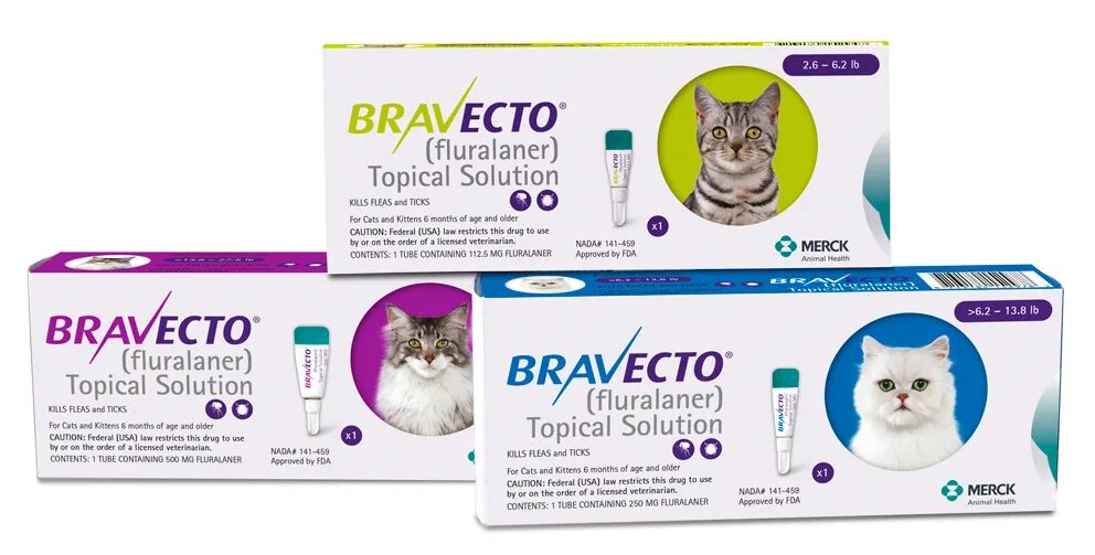 Бравекто для кошек инструкция. Bravecto for Cats. Бравекто. Бравекто плюс. Флураланер для кошек.