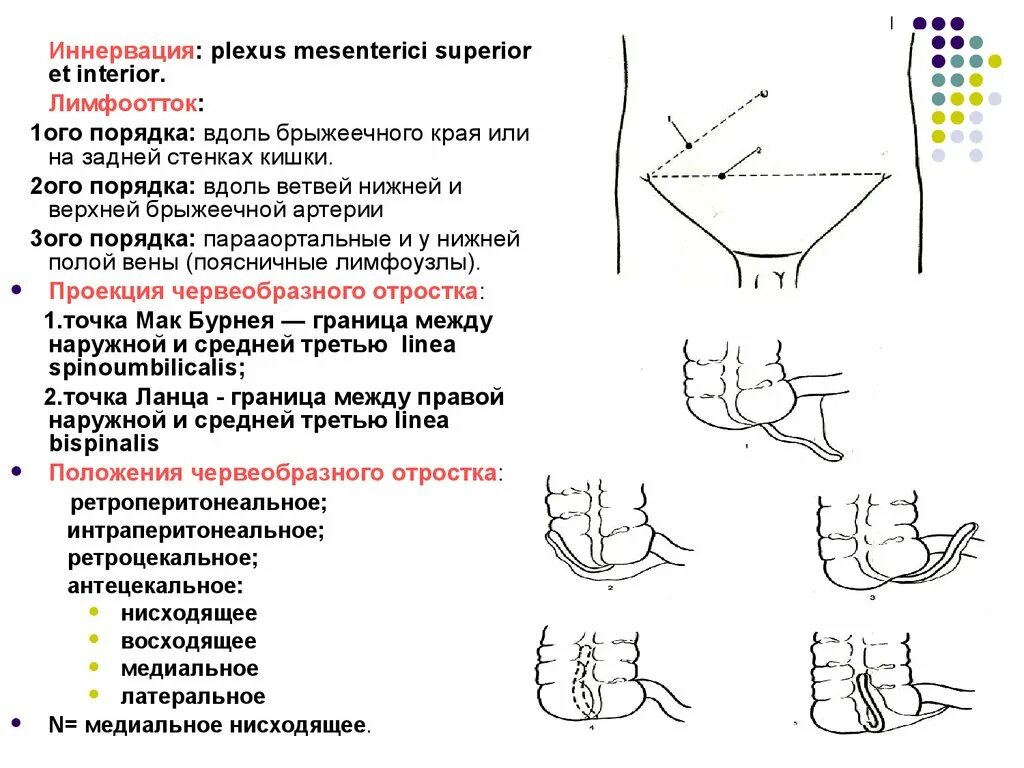 Точки аппендицита