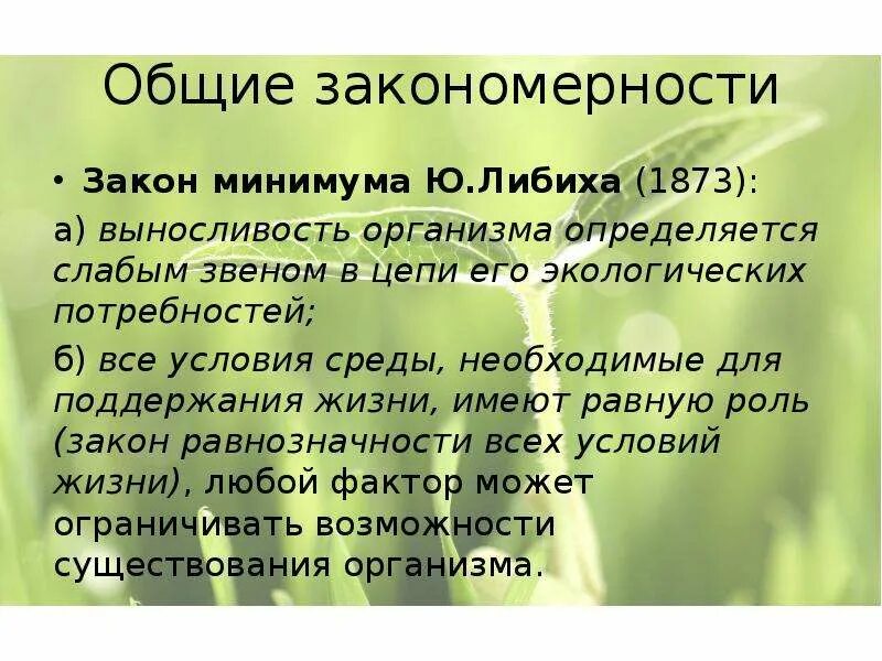 Природные закономерности примеры. Закономерности воздействия факторов среды на организмы. Закономерности действия экологических факторов закон Либиха. Общие закономерности природы. Закономерности действия экологических факторов.