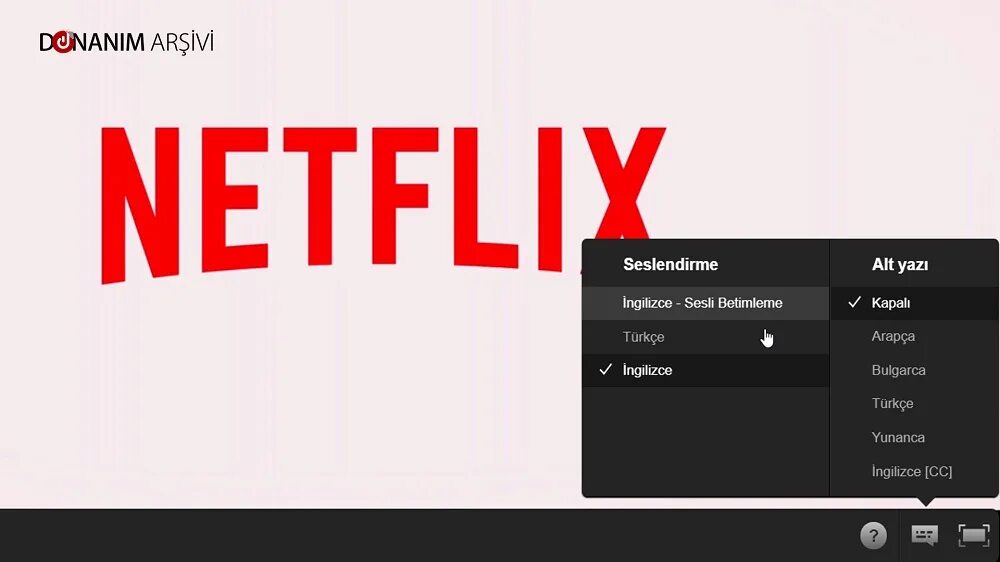 Котик нетфликс. Netflix 4 к. нетфликс где находится. netflix на чешском. пв нетфликс.