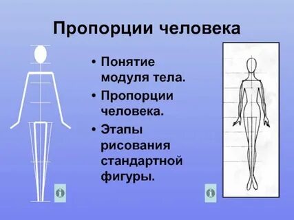 Соотношение рисунка и схемы