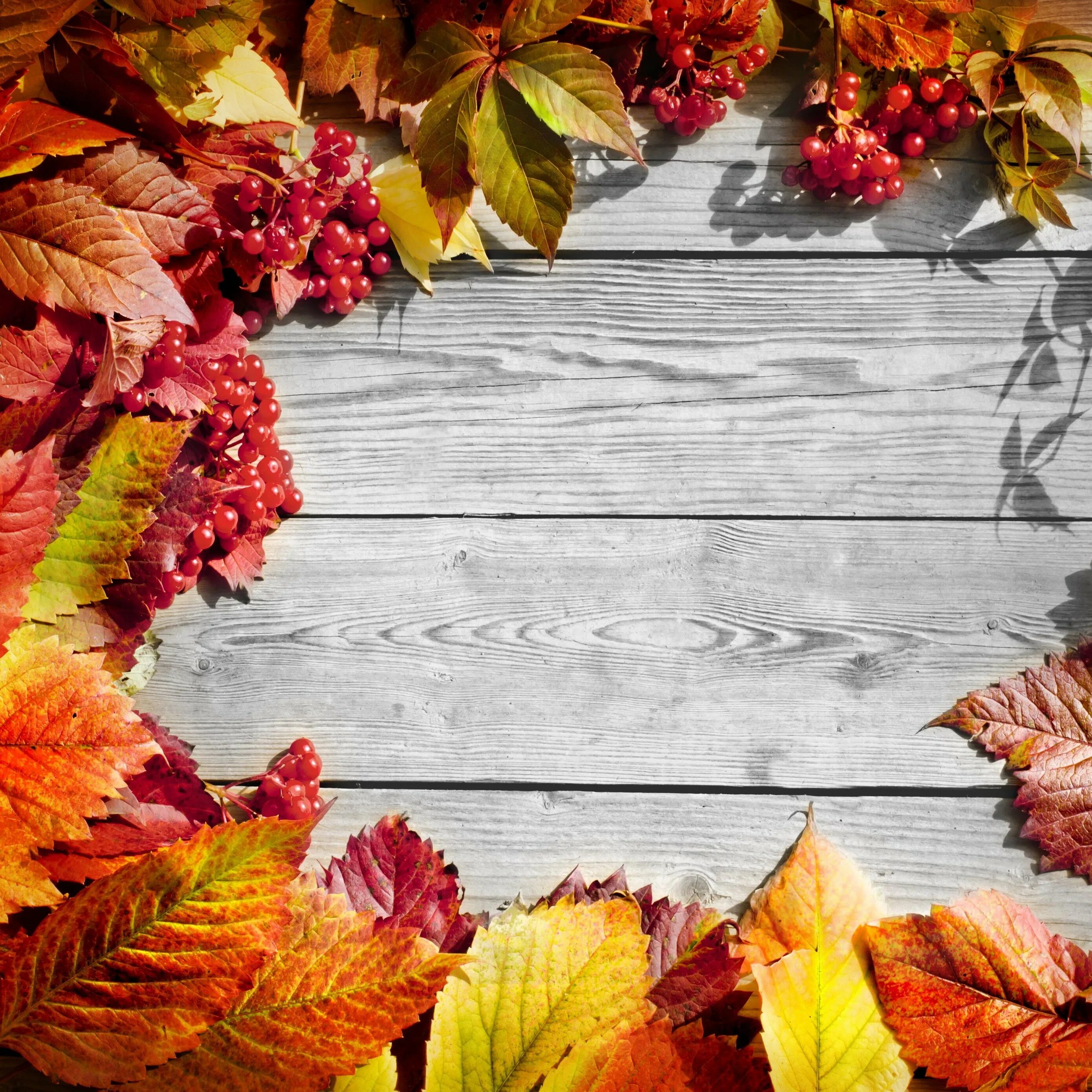 Осень в инстаграмме. Осенняя сторис. Эстетическая осень. Осень эстетика. Осенняя сторис.