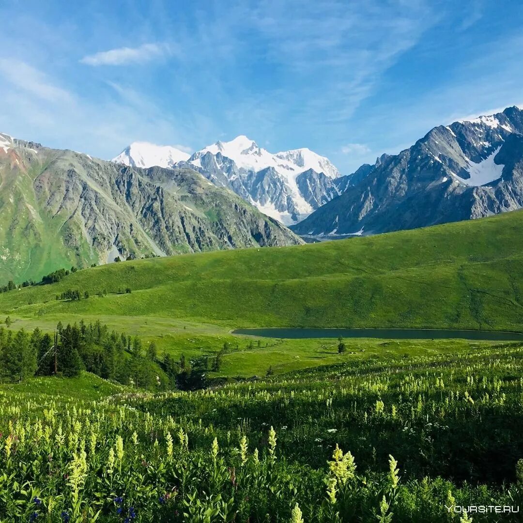 Природные страны казахстана. Катон Карагай горы. Белуха гора Катон Карагай. ВКО Катон-Карагайский природа. Катон Карагайский хребет.