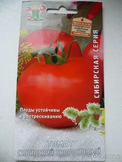 Сибирский скороспелый томат описание