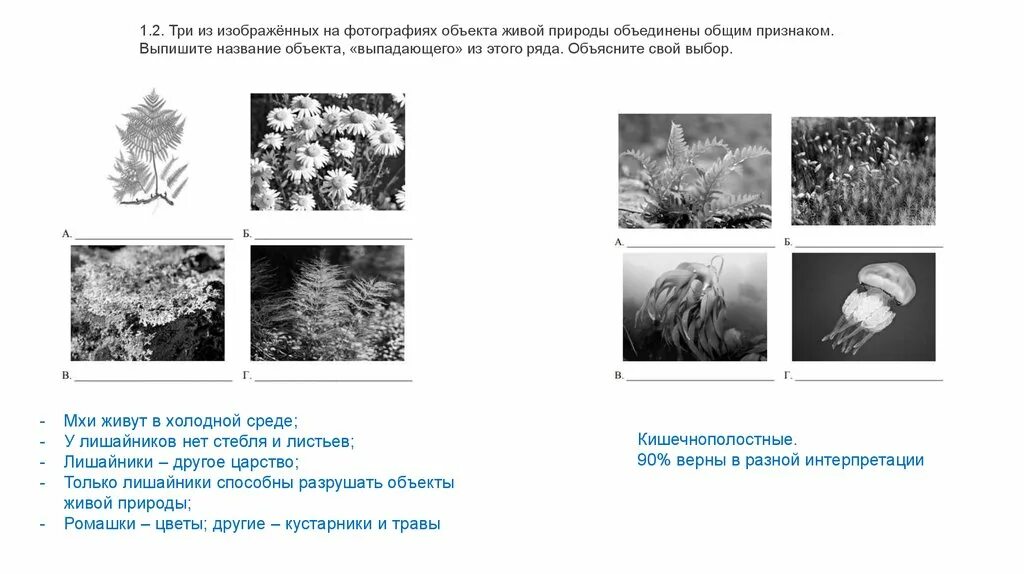 Два из изображенных на фотографиях объекта. 2 Объекта объединены общим признаком. Три изображенных на фотографиях объекта объединены. Три из изображённых объектов объединены общим признаком.. Впр жизнь природы во всех ее