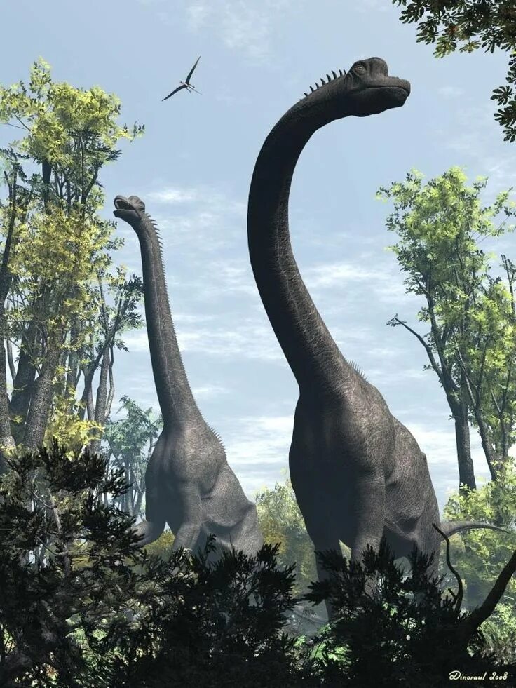 Длинношеий динозавр. Брахиозавр. Брахиозавр динозавр. Брахиозавр динозавры Юрского периода. Брахиозавр АРК.