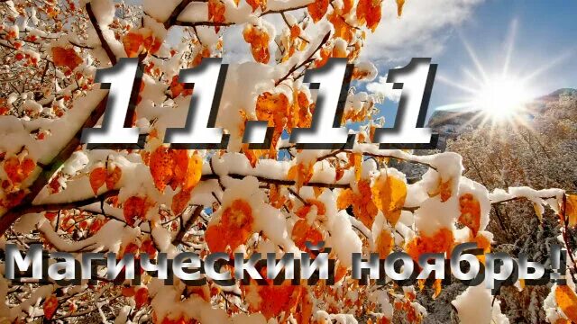 22.11 дата. 11 Ноября. Открытки 11 ноября. 11 Ноября календарь. 11 Ноября праздник.