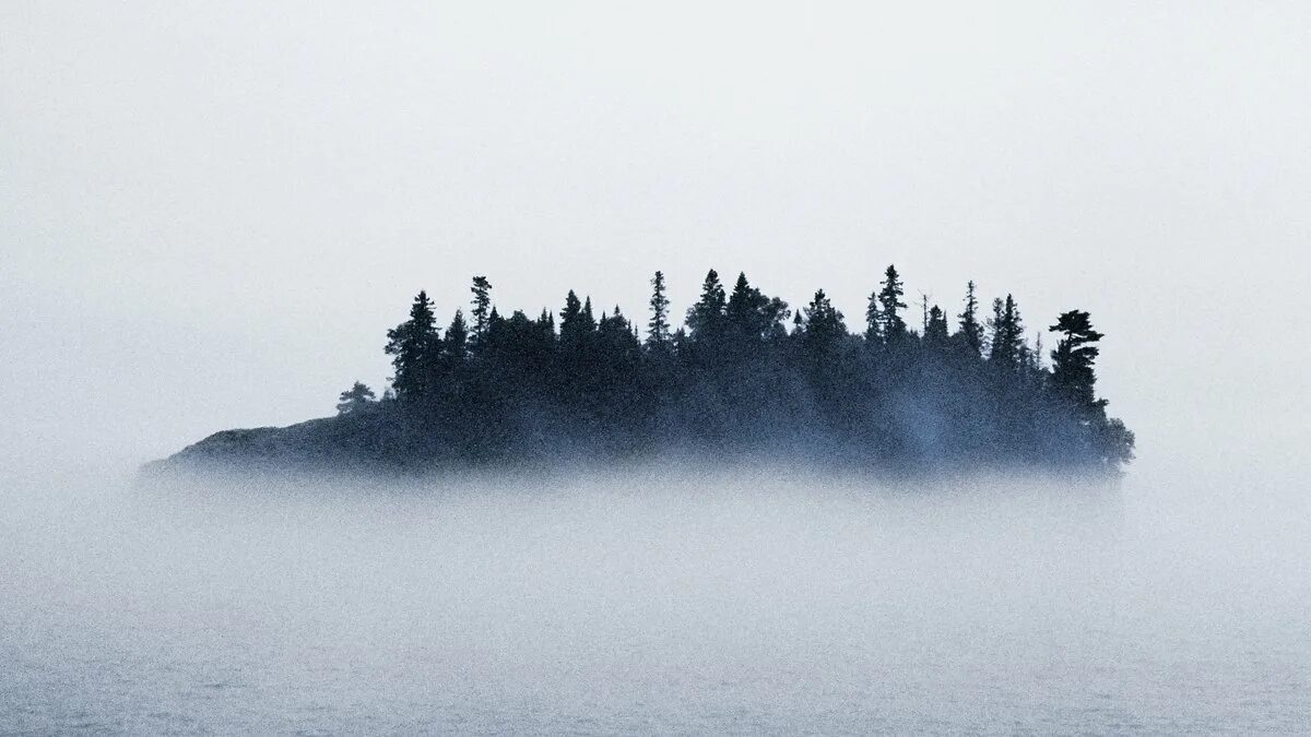 Fog c. Dh-fog ulv dh30 - генератор холодного тумана. Лес туман хибины. Fog c. Fog c.