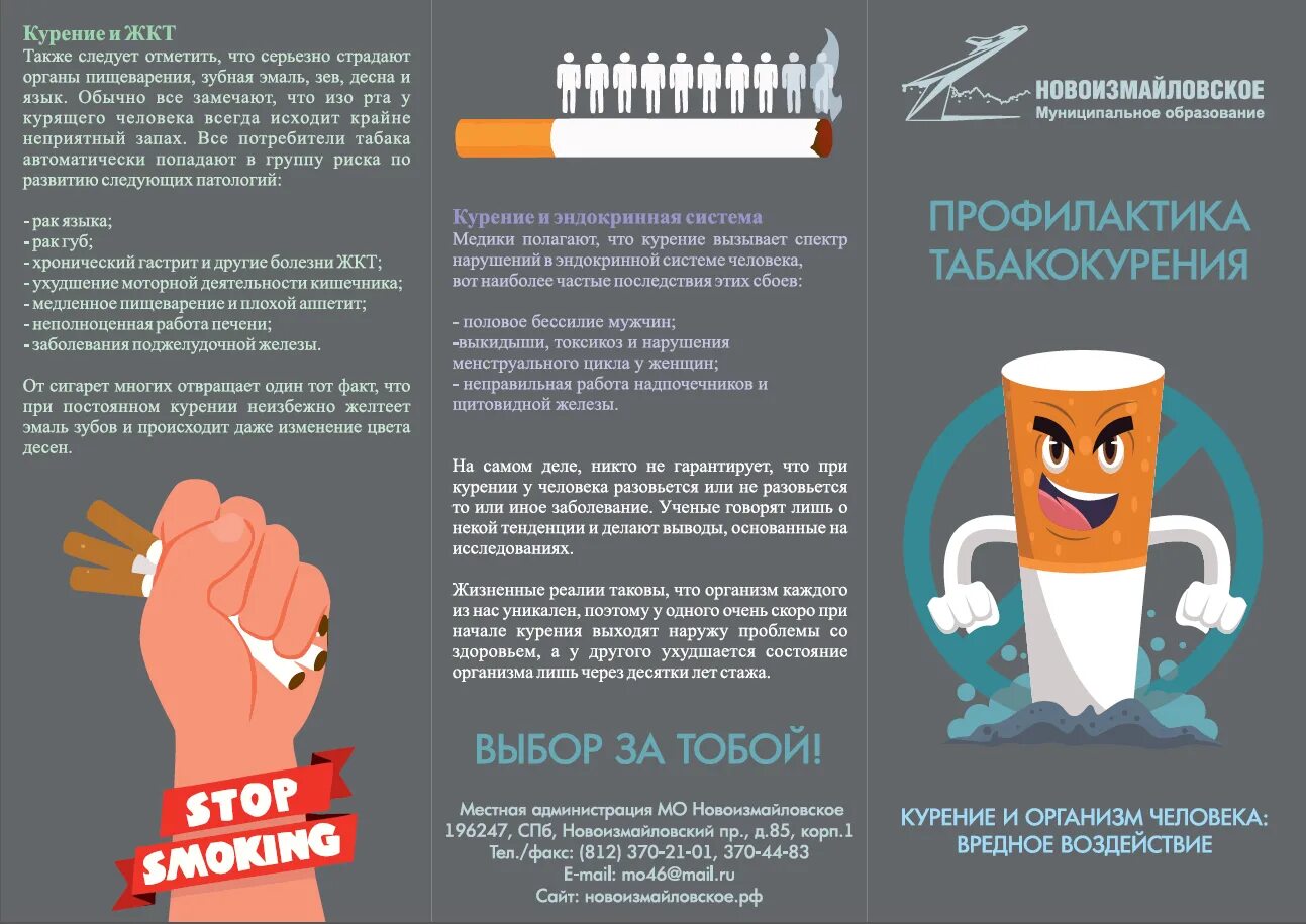 Закон о курении 2024. Профилактика табакокурения. Профилактика от табакокурения. Профилактика против курения. Памятка по профилактике табакокурения.