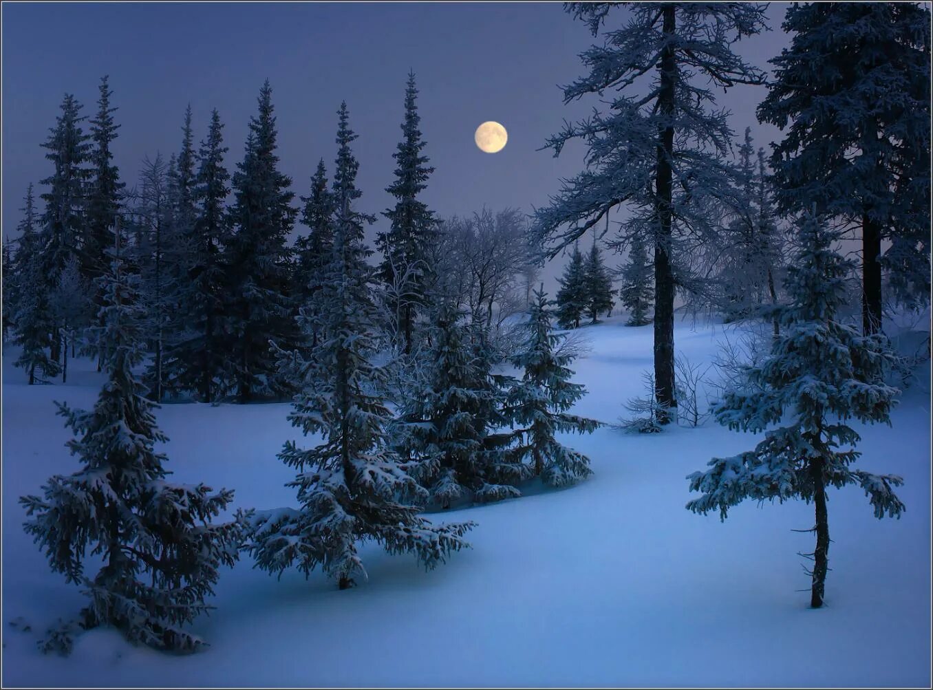 Зимний лес ночью. Зимний лес луна. Зимний лес луна. Зимний ночной пейзаж. Зимняя ночь.