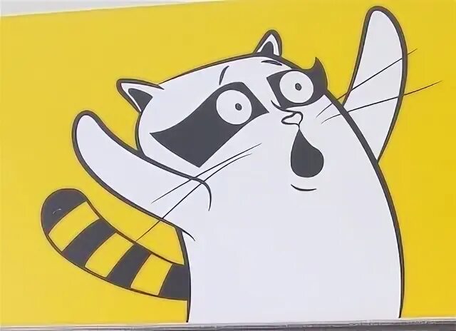 Вк коля котов. Коля котов б. Евгений берестнев воронеж. Кот коля. Коля кот.