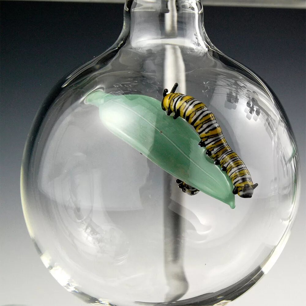 Необычные фигуры из стекла. Стеклянные насекомые. Необычные стеклянные сосуды. Стеклянный сосуд. Легкие становятся стеклянными