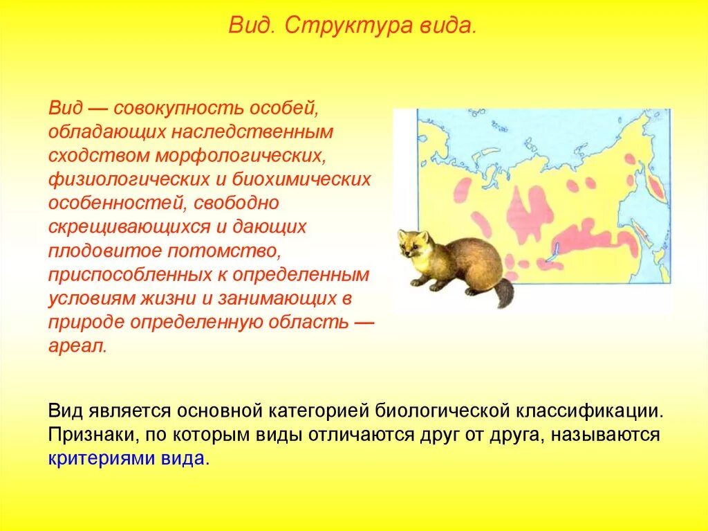 Скрещиваться между собой и давать плодовитое. Это совокупность особей обладающих наследственным сходством. Вид совокупность особей обладающих. Вид это совокупность особей обладающих сходными признаками.