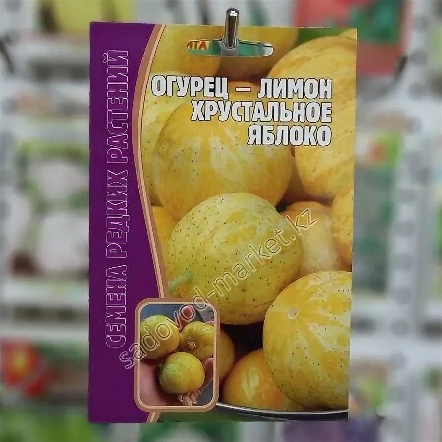 Огурец-лимон хрустальное яблоко. Семена огурец лимон хрустальное яблоко. Семена огурцов лимон. Лимонный огурец. Огурец это ягода.