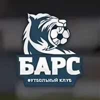 Барс 19 хакасия электронный