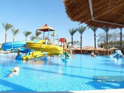 Beach albatros hurghada отзывы