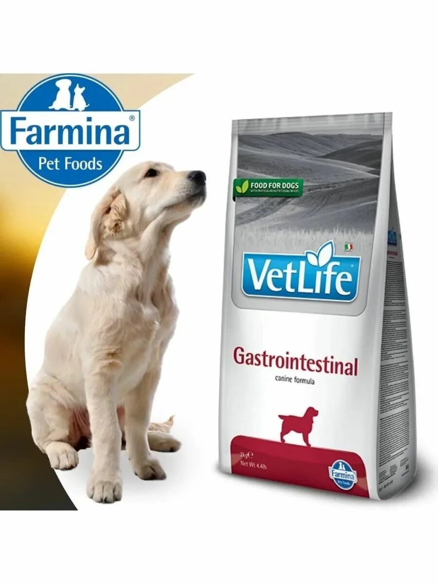 Vet life gastrointestinal сухой. Корм Фармина гастро Интестинал для собак. Vet Life Gastrointestinal корм для собак. Фармина вет лайф корм для собак. Farmina vet Life Gastrointestinal для собак.