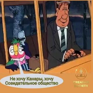 Возвращение попугая кеши 2024