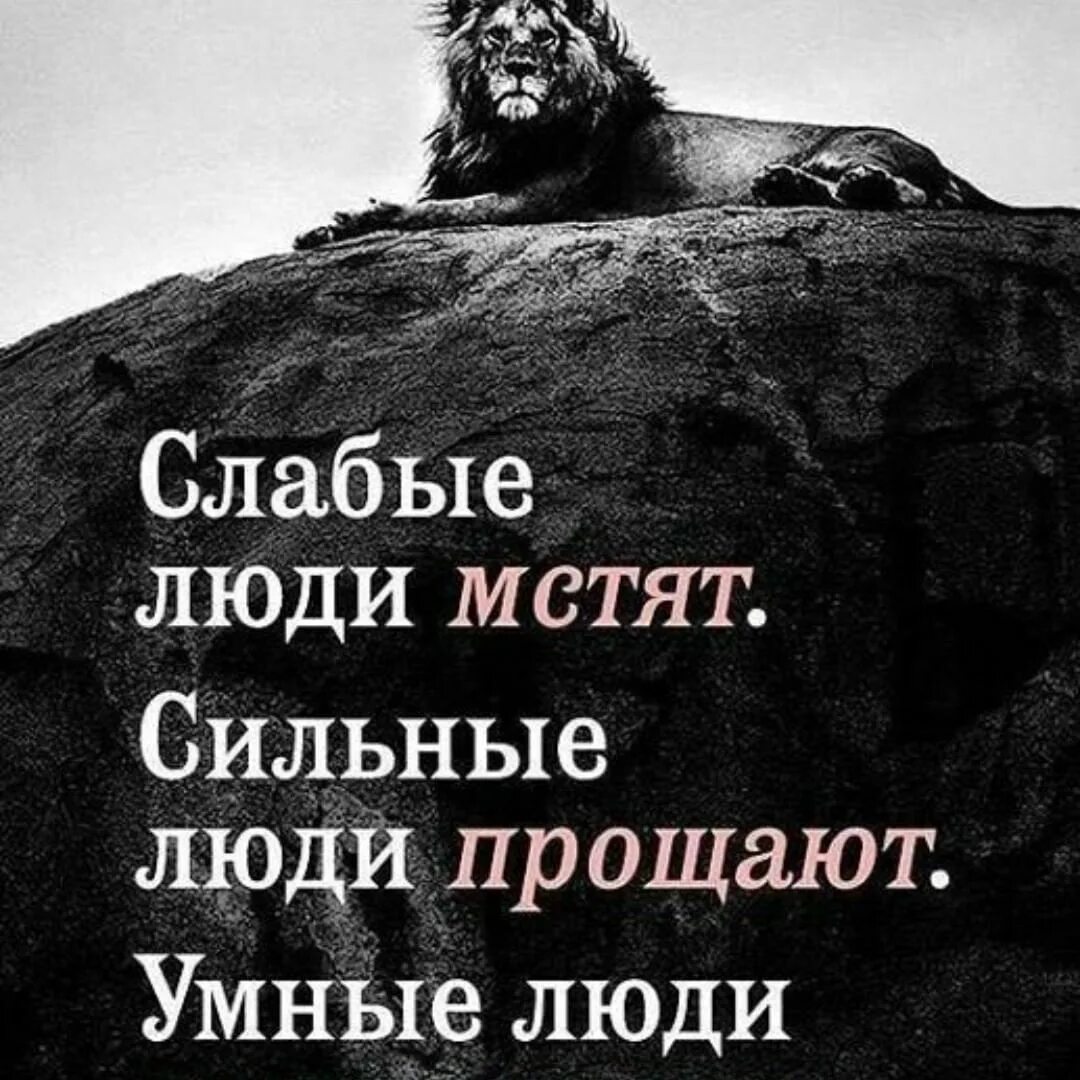 Понимаем жизнь глубже. Понимаем жизнь глубже