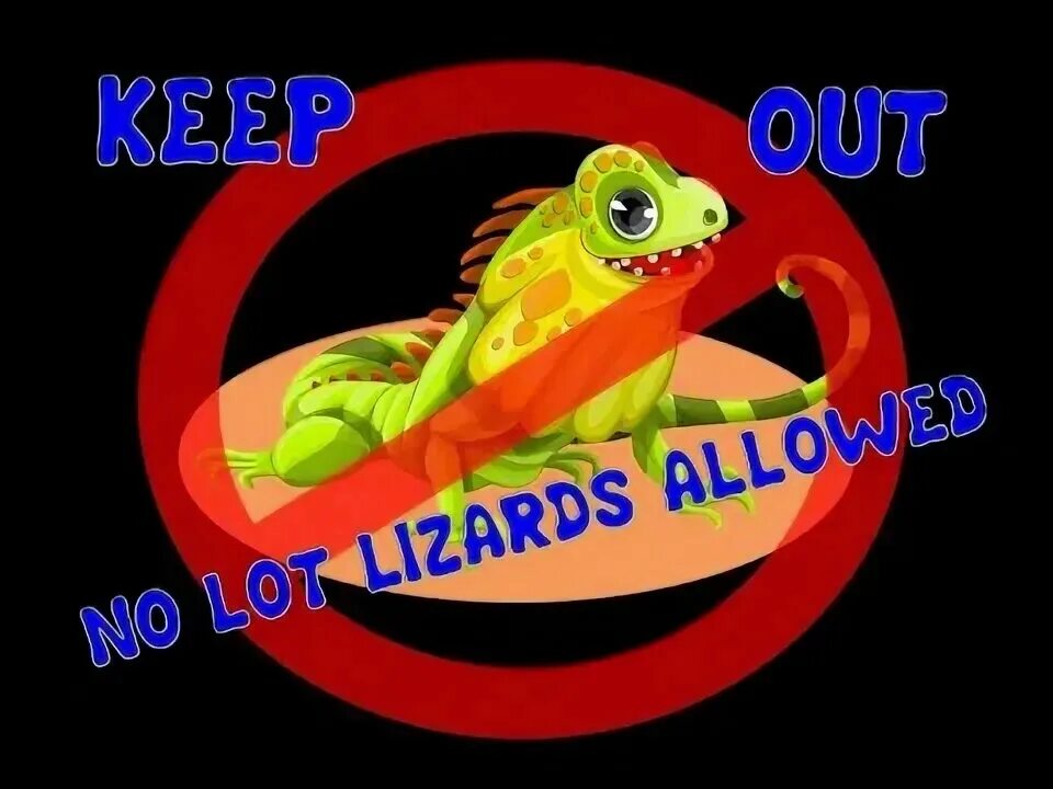 Ящерица под женской кожей. Lot lizard trucking. Lot lizard. Прыткая ящерица. Игуана каменная\baja blue rock lizard.