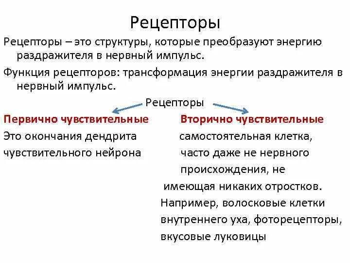 Функции рецепторов. Рецептор это. Рецепторы функции рецепторов. К функциям рецепторов относятся:.