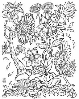 Coloring book раскраски