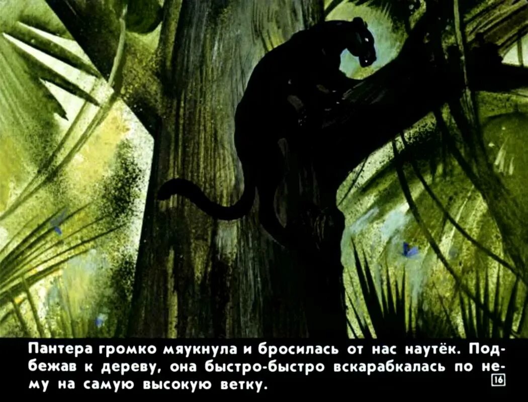 Закон джунглей книга 8. Закон джунглей. Диафильм закон джунглей. Закони джунглыв. Закон джунглей каждый сам за себя.