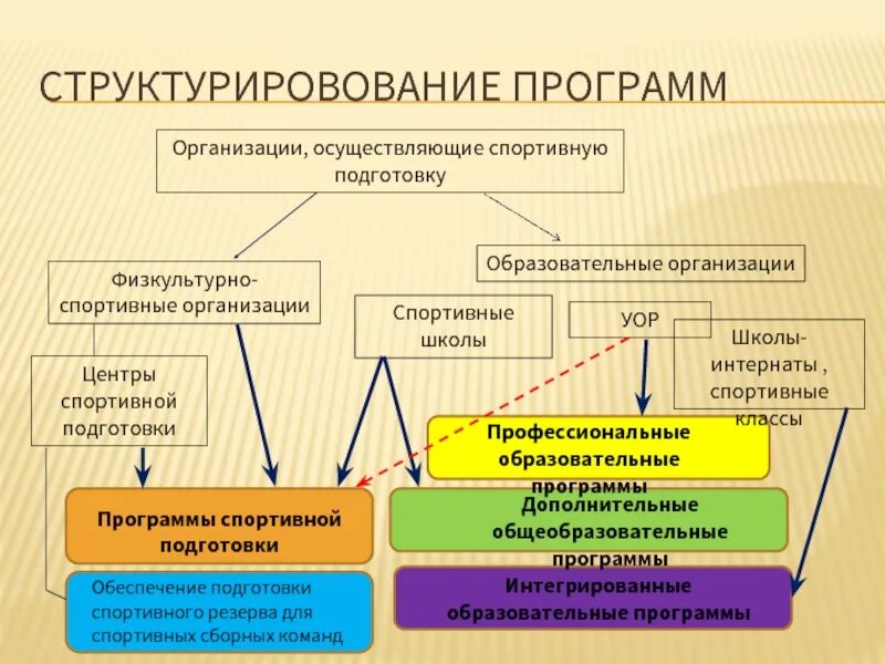 Учет спортивная организация