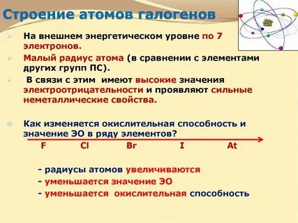 Что общего в строении атомов галогенов