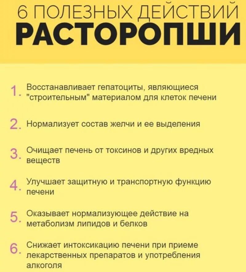 Лечебные свойства печени. Расторопша при циррозе печени. Печень полезные свойства. Расторопша таблетки при желчекаменной болезни. Расторопша очистить печень.