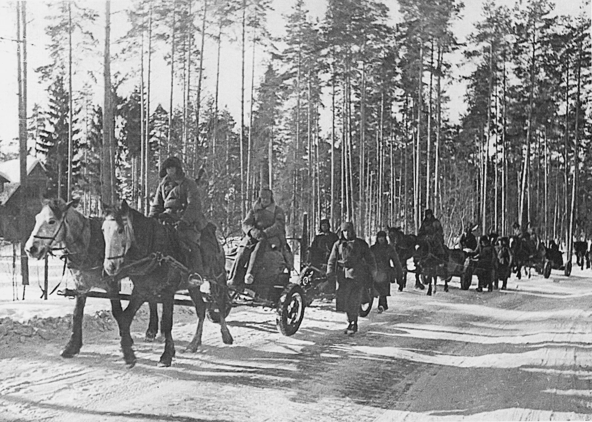 РККА В финской войне 1939. Финляндия 1940 год