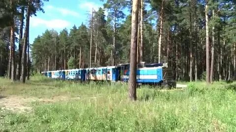 Березовая роща поезд