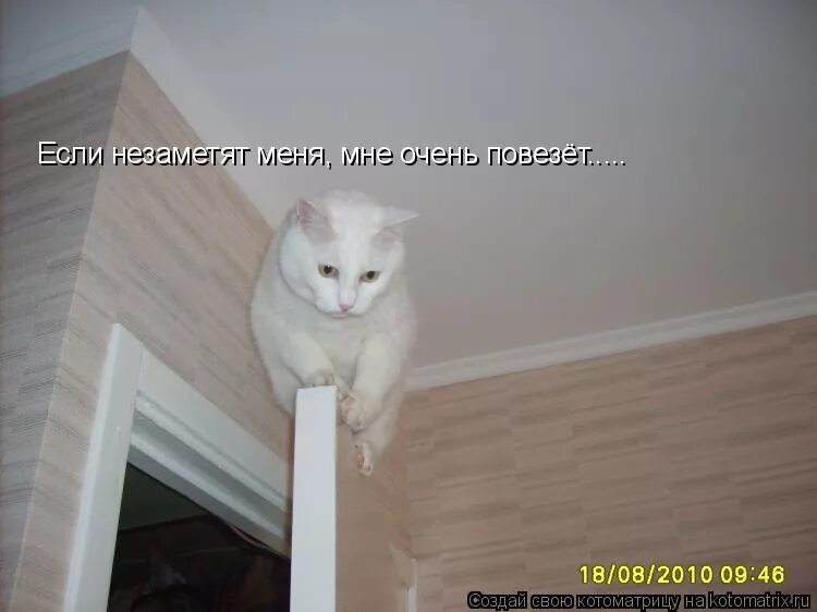 Незаметивший