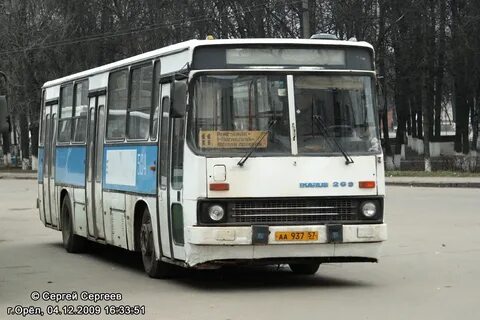 504 автобус рыбинск