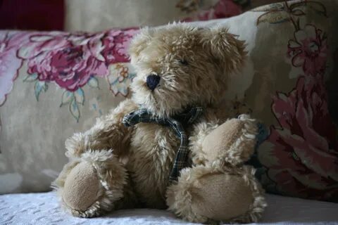 I m teddy