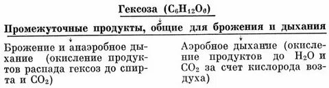 Почему брожение считали дыханием