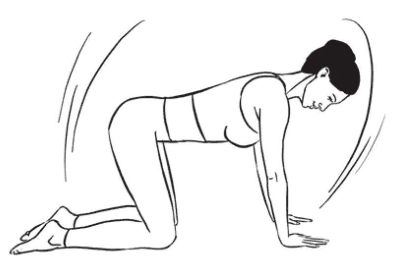 Опускать плотно. Упражнения стоя на четвереньках. Упражнения для спины на четвереньках. Упражнения для спины стоя на четвереньках. Упражнения на четвереньках для позвоночника.