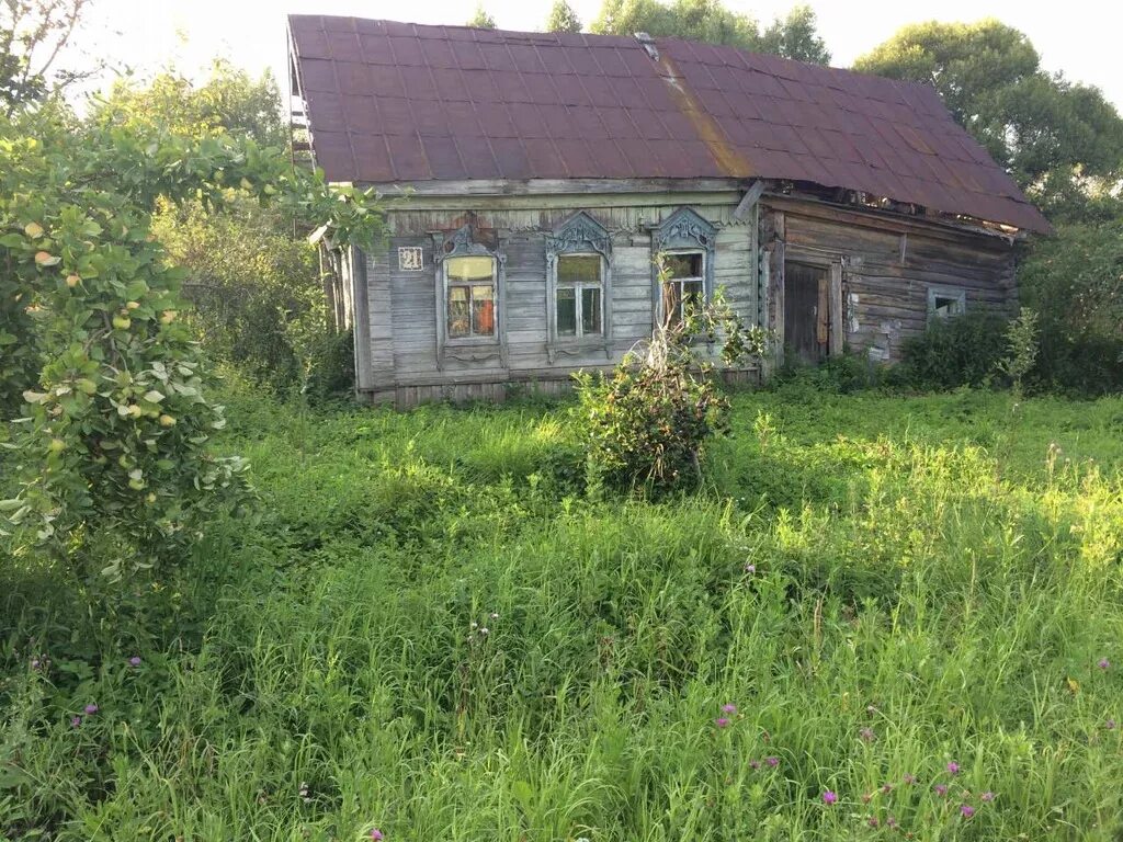 О чехов мо. Гришино чехов. Дмитровский район деревня гришино 145. Погода гришино чеховский. Деревня гришино тверская область.