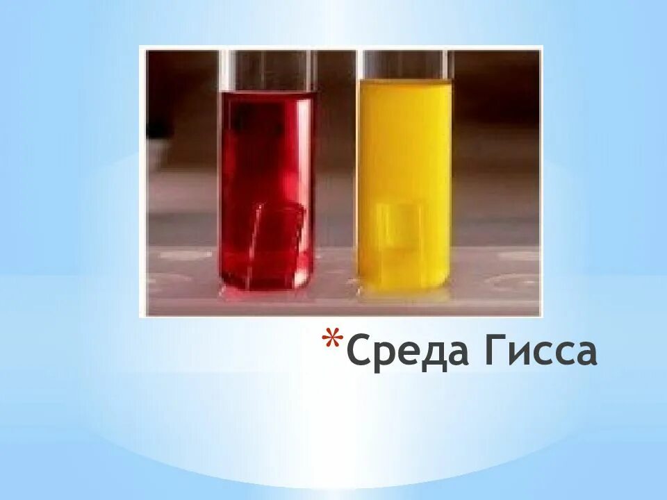 Среда Гиса пестрый ряд. Среда Гиса микробиология. Дифференциально-диагностические среды микробиология Гисса. Среды «пестрого ряда» (среды Гисса).