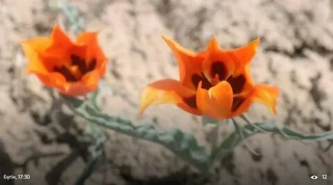 Майланған Кристи Мак төрт аяққа тұрып, өзінің кискасында пенисін сезінеді