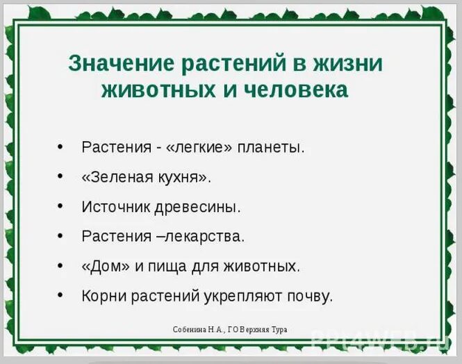 Какое значение для растения. Значение растений для животных и человека. Значение растений в жизни человека. Значение растений в жизни планеты. Какое значение имеют растения.