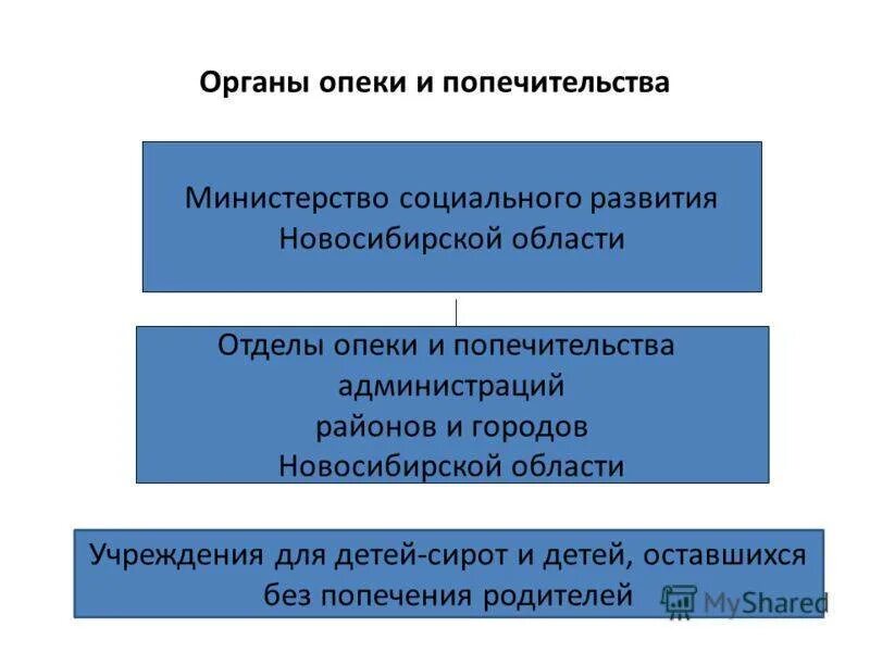 Действие органов опеки и попечительства. Схема организационной структуры управления опеки и попечительства. Структура органов опеки. Структура сектора опеки и попечительства. Органы опеки и попечительства схема.