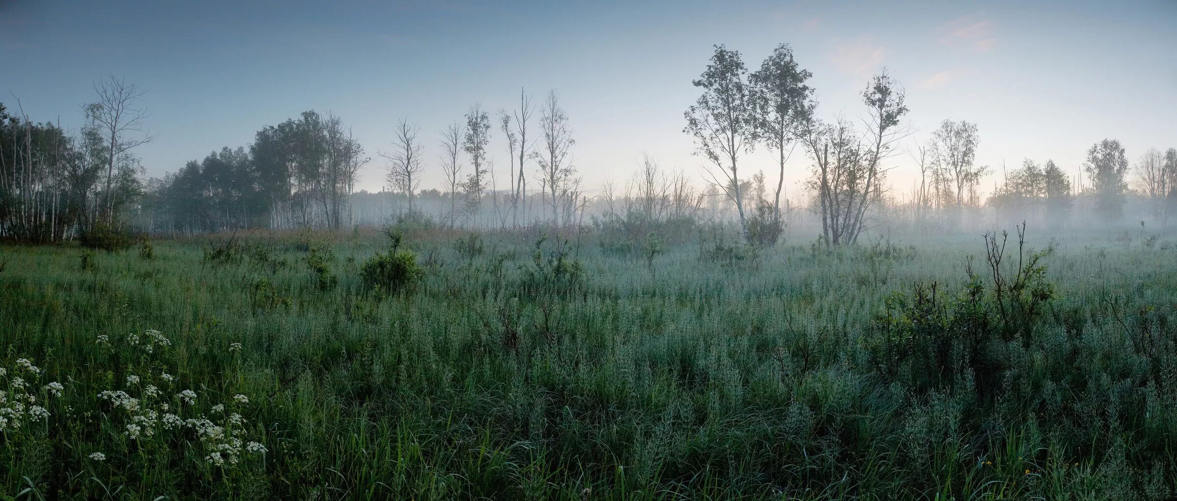 лосиный парк королев. лосиный остров сосновая роща. лосиного острова холмы. лосиный остров 6 лесопарков. антенное поле лосиный остров.