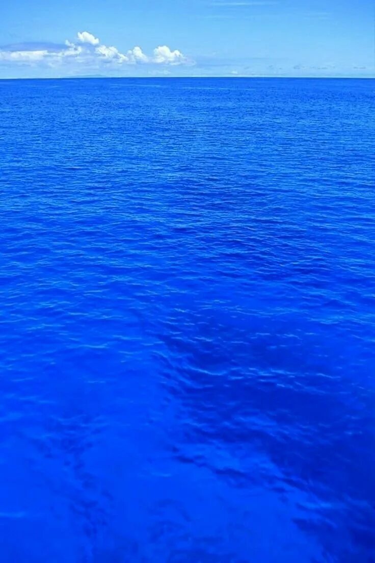 Зачем синий. Голубое море. Вода в Атлантическом океане. Синий океан. Морская гладь.